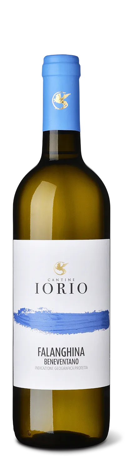 Iorio Falanghina Beneventano trocken Weißwein